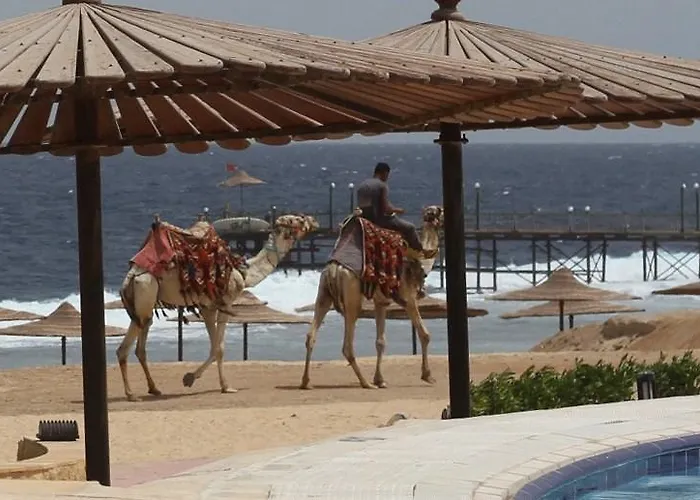 Üdülőközpont Coral Hills & 4*